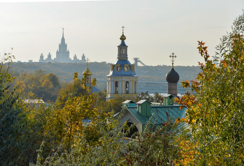 Photograph by Olga Mendosa