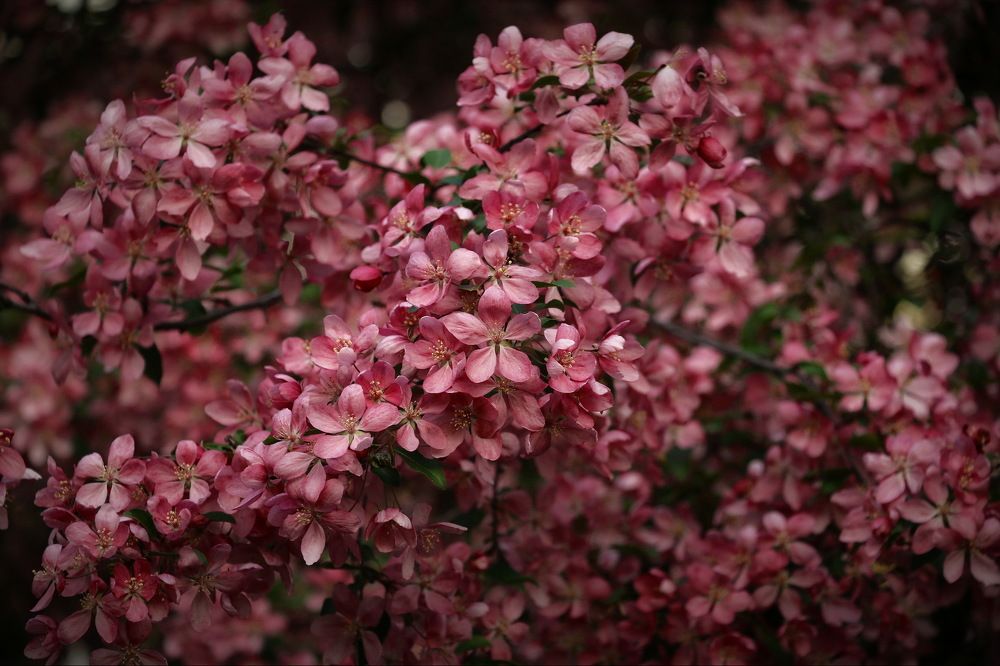 Photograph by Алексей Зимин