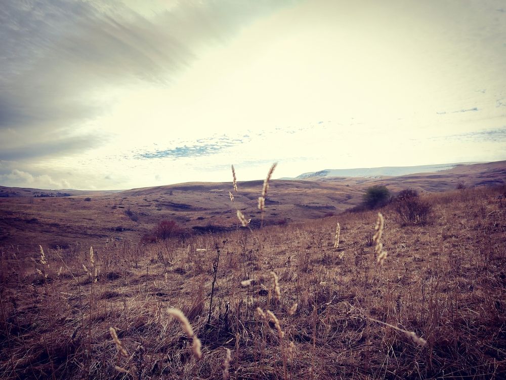Photograph by Олеся Герман