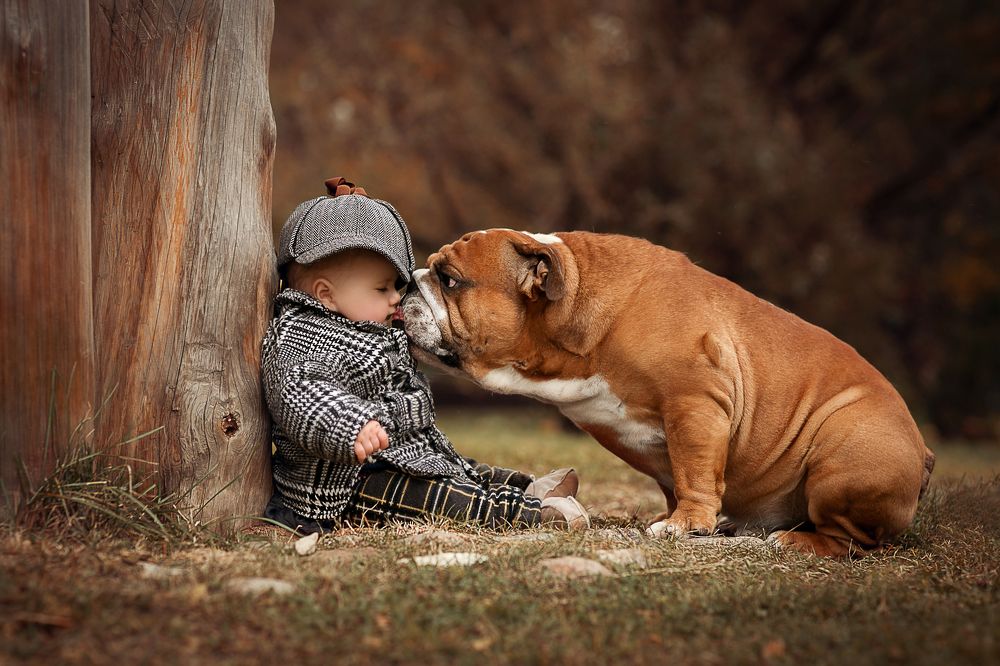 Photograph by Ипатьева Анна