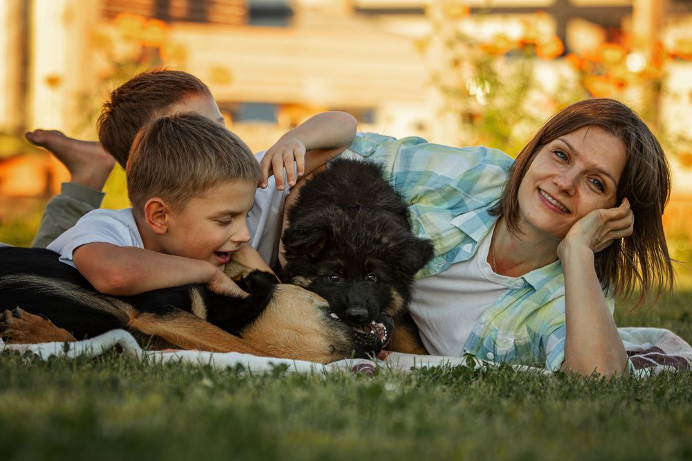 Photograph by Зубкова Юлия