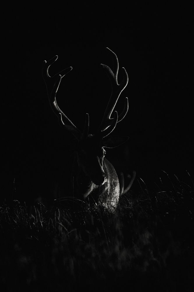 Фотография автора Marcin Parzybut