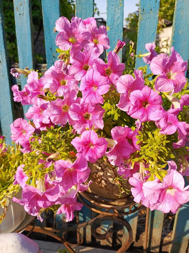 Photograph by Татьяна Пальчикова