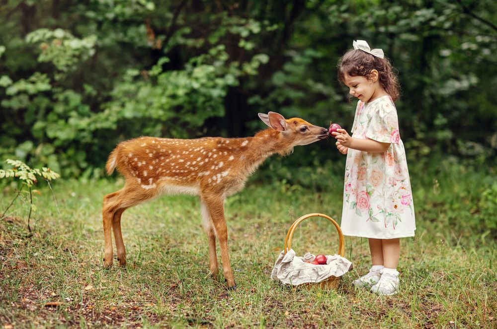 Photograph by Ипатьева Анна