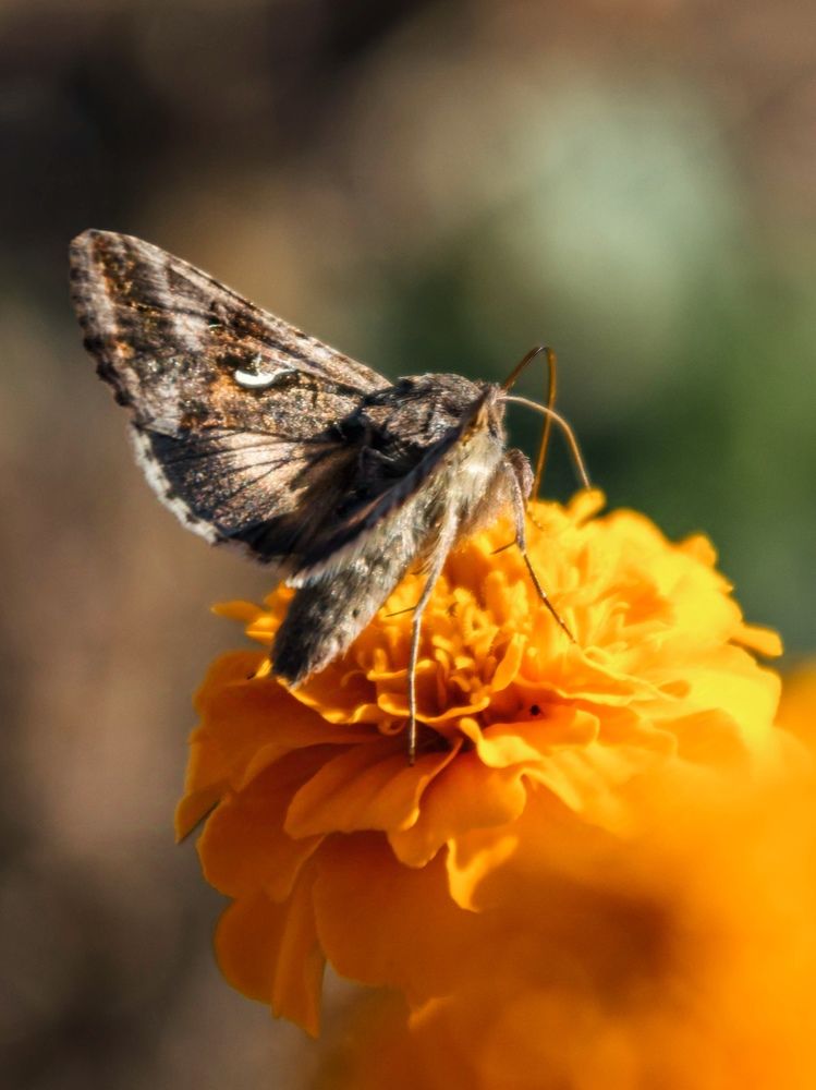 Photograph by Людмила Прибылова