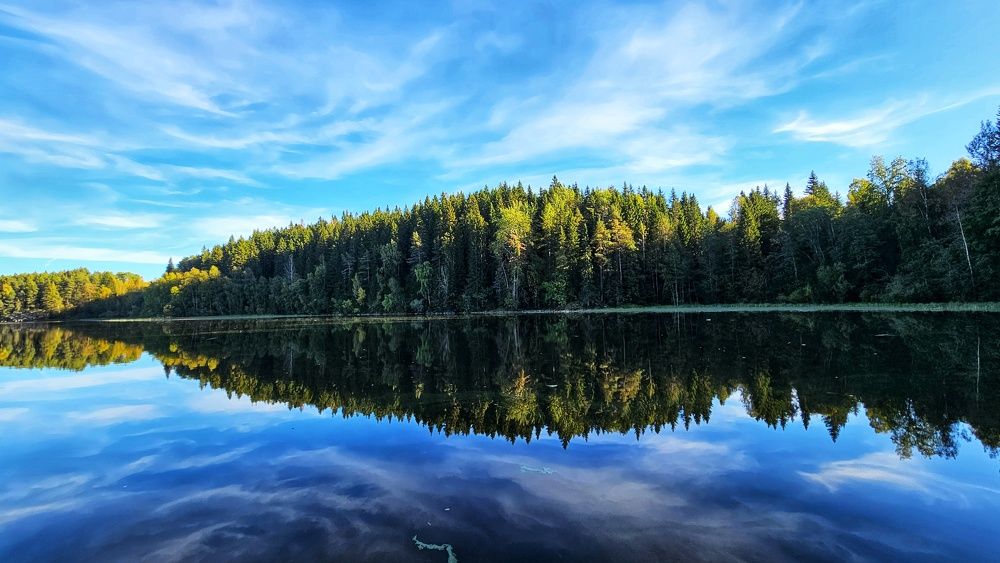 Photograph by Оксана Новикова