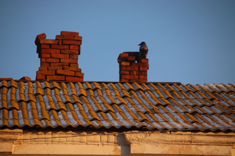 Photograph by Марина