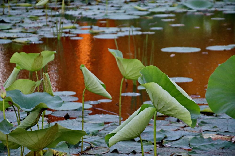 Photograph by Марина