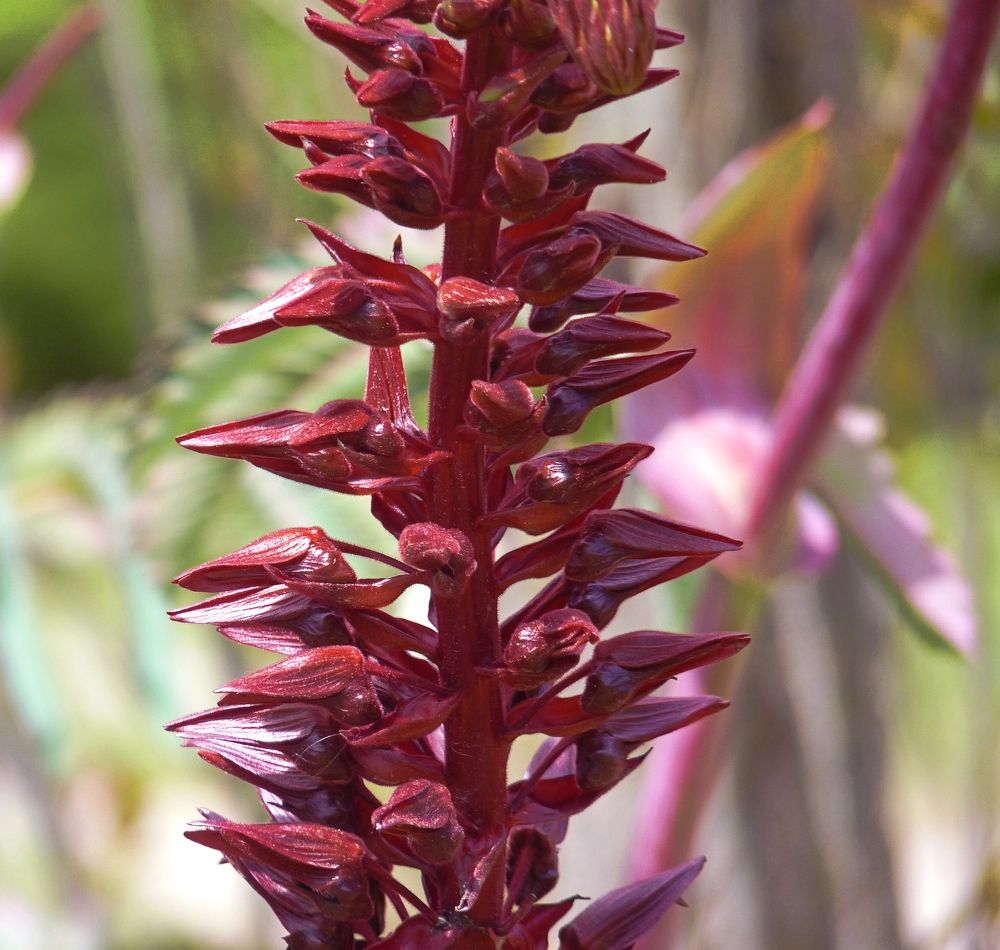 Photograph by SILVIA CLELIA AGOSTINIS