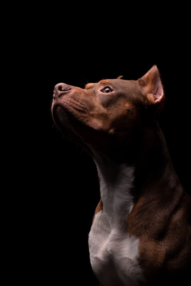 Photograph by Наталья Носова (Кучеренко)