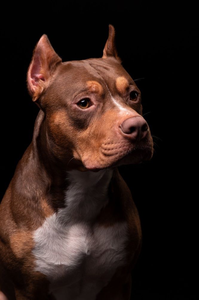 Photograph by Наталья Носова (Кучеренко)