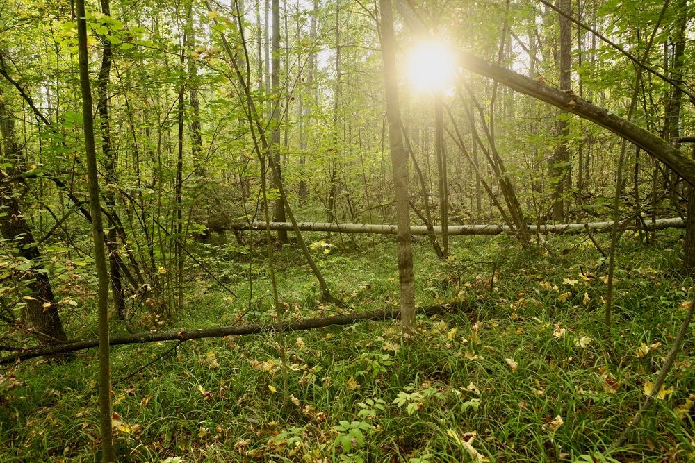 Photograph by Олег Китаев