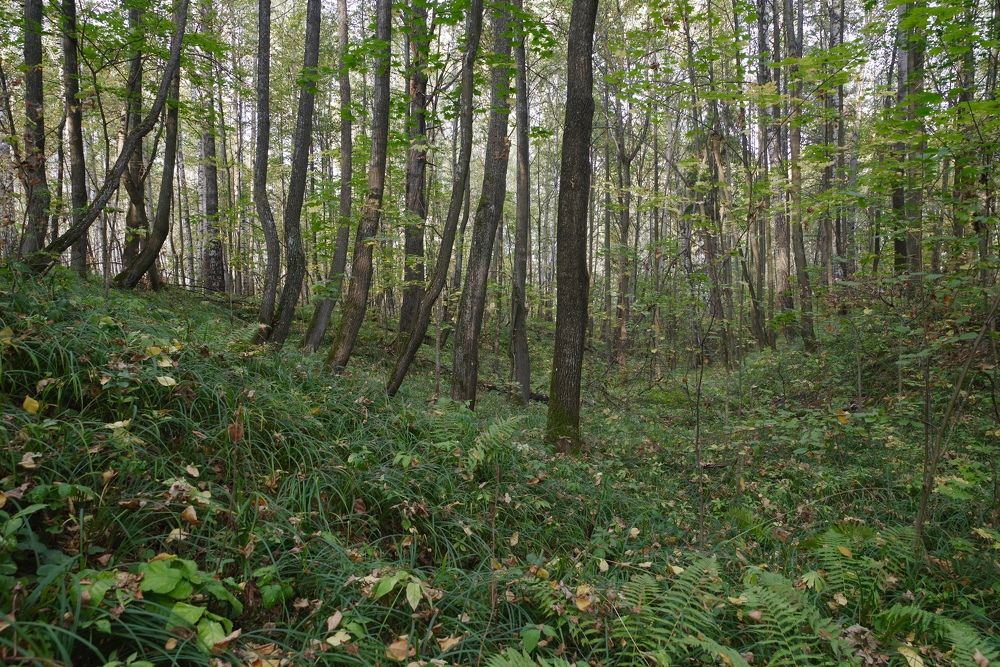 Photograph by Олег Китаев