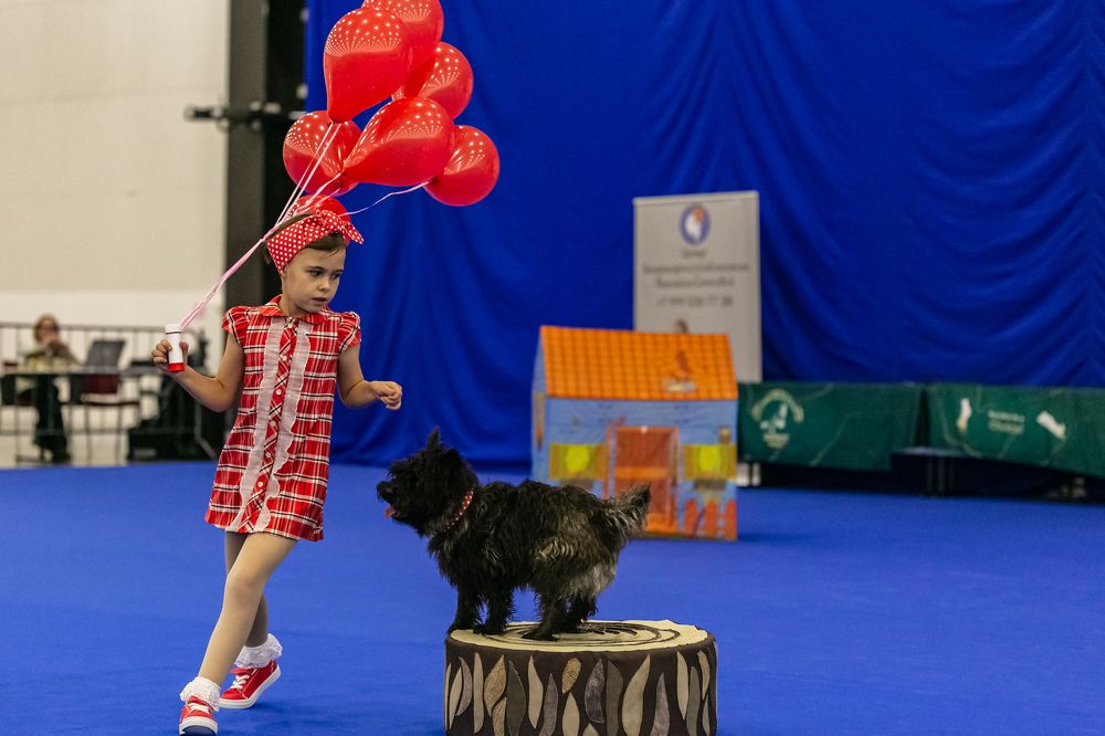 Photograph by Ольга