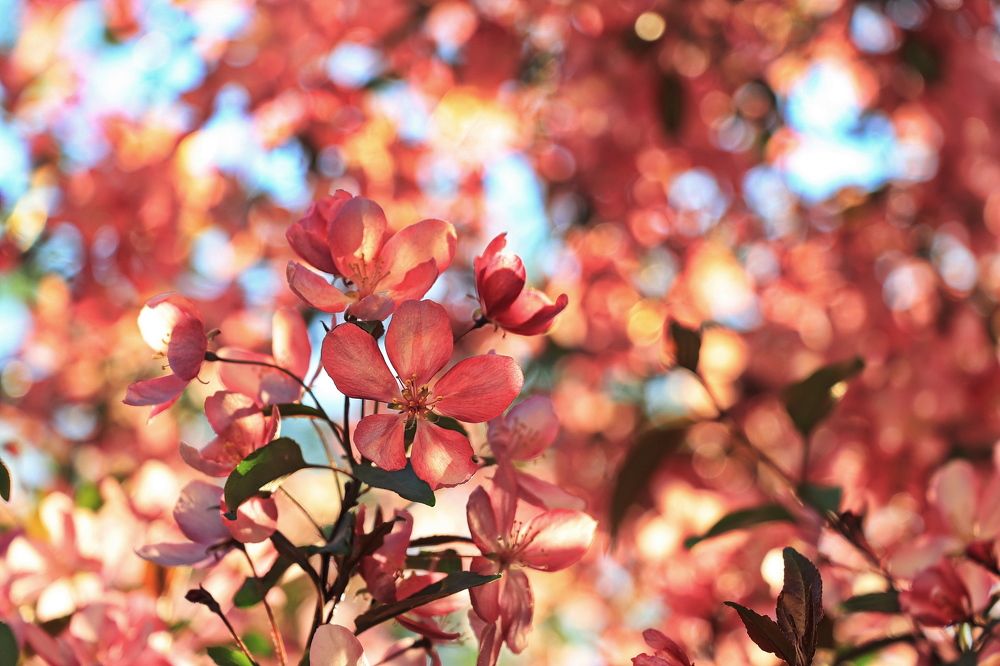 Photograph by Алексей Зимин