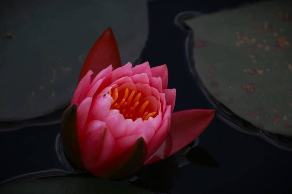 Photograph by Gr Marie