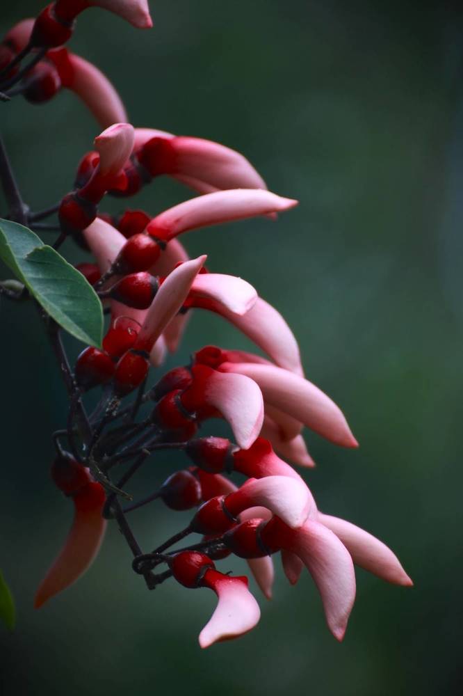 Photograph by Gr Marie