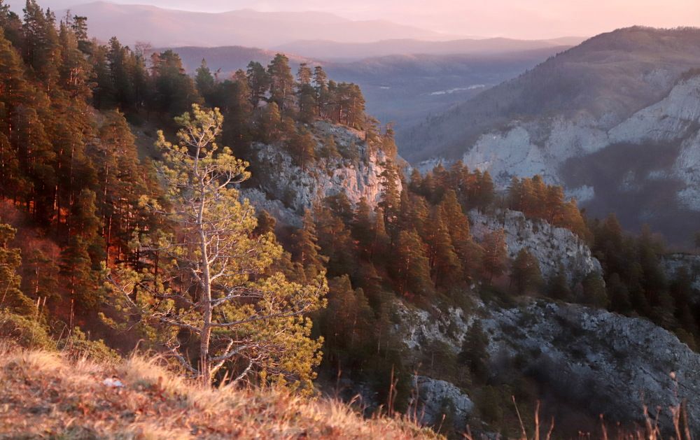 Photograph by Лада Денисова