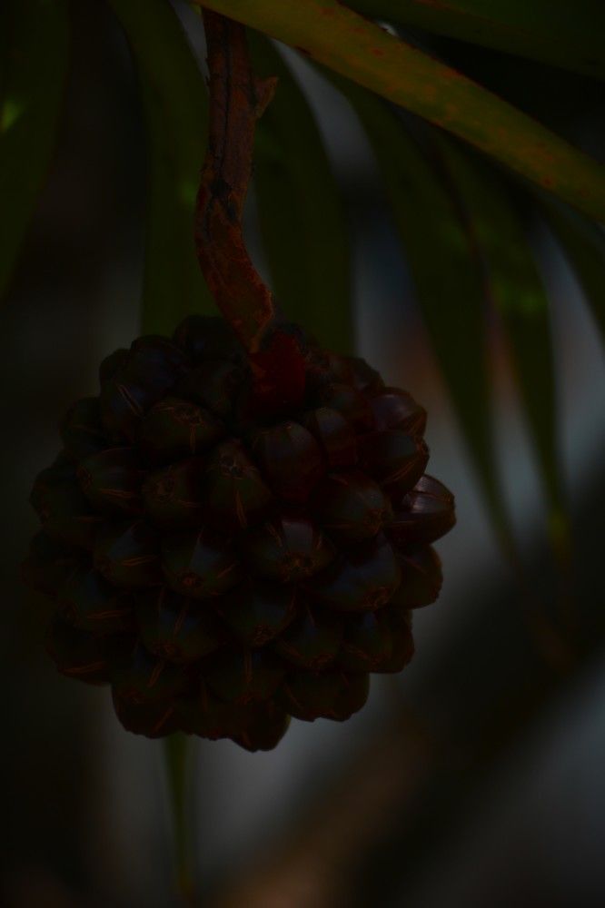 Photograph by Gr Marie