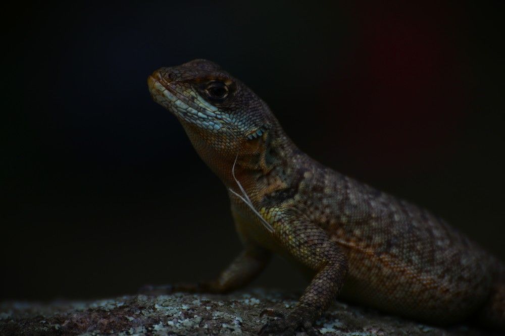 Photograph by Gr Marie