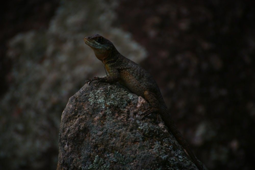 Photograph by Gr Marie