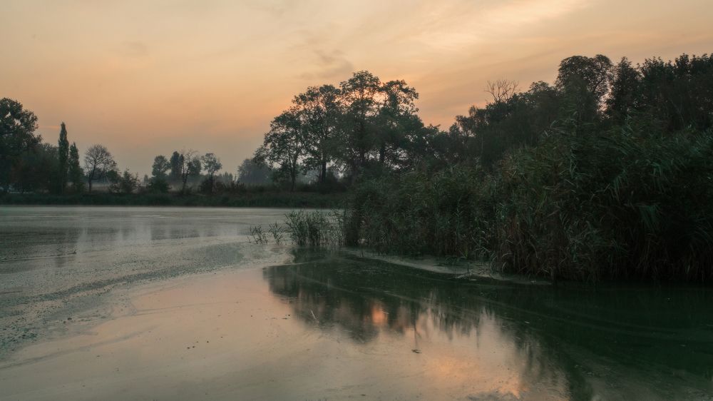 Photograph by Тамара Вотинцева