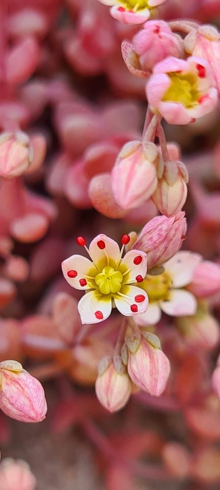 Photograph by Nadzeya