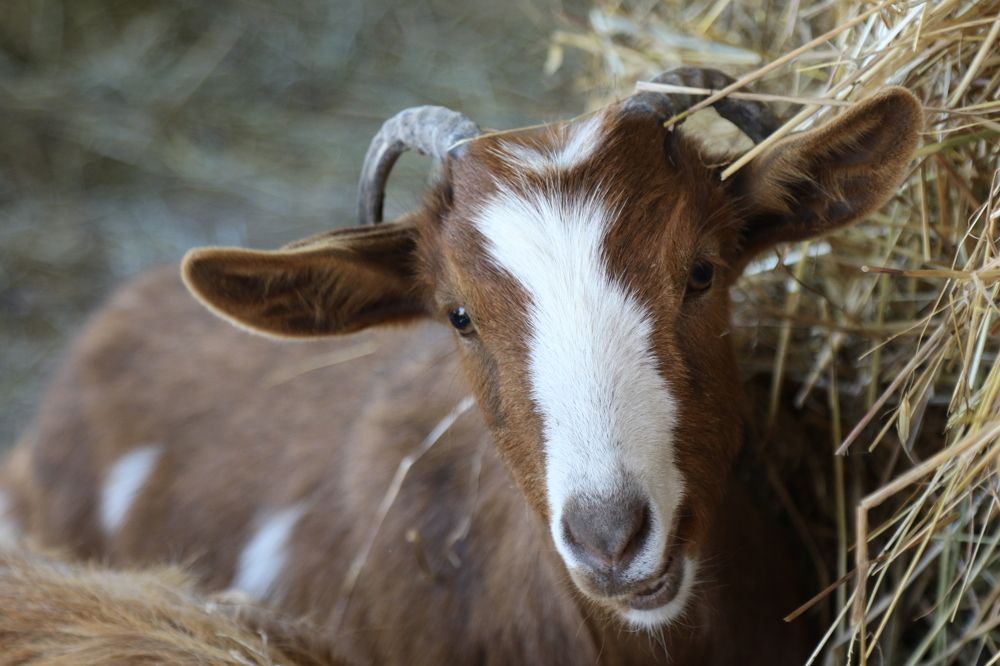 Photograph by Nadzeya