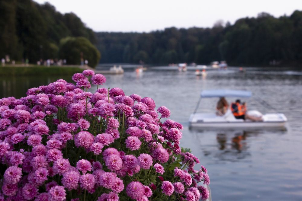 Photograph by Елена Барышева