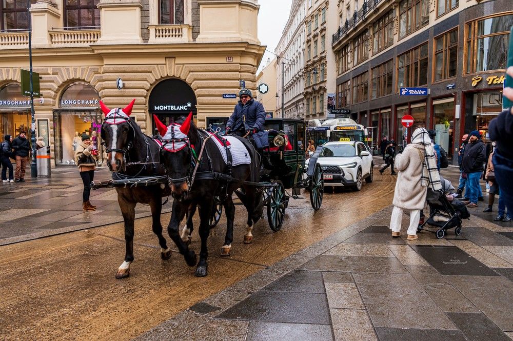 Photograph by Iv Photography