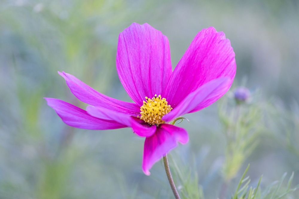 Фотография автора Наталья Василькова