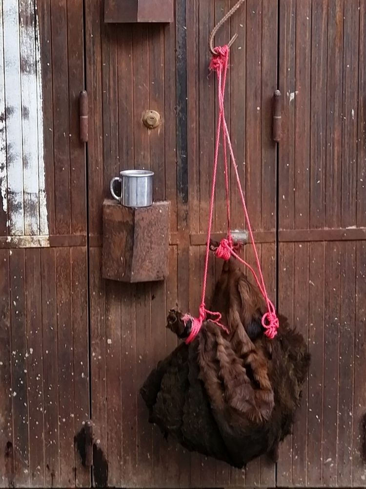 Photograph by Azzeddine Memmou