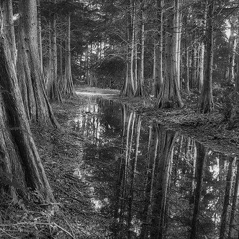 Фотография автора Ray Asiala