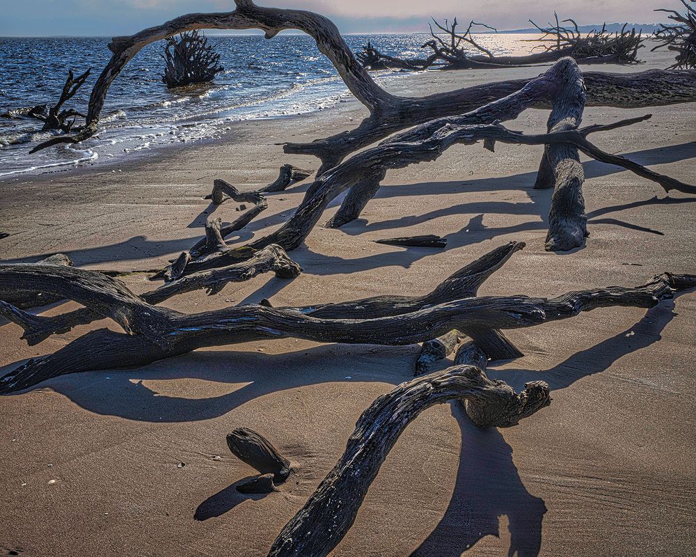 Фотография автора Ray Asiala