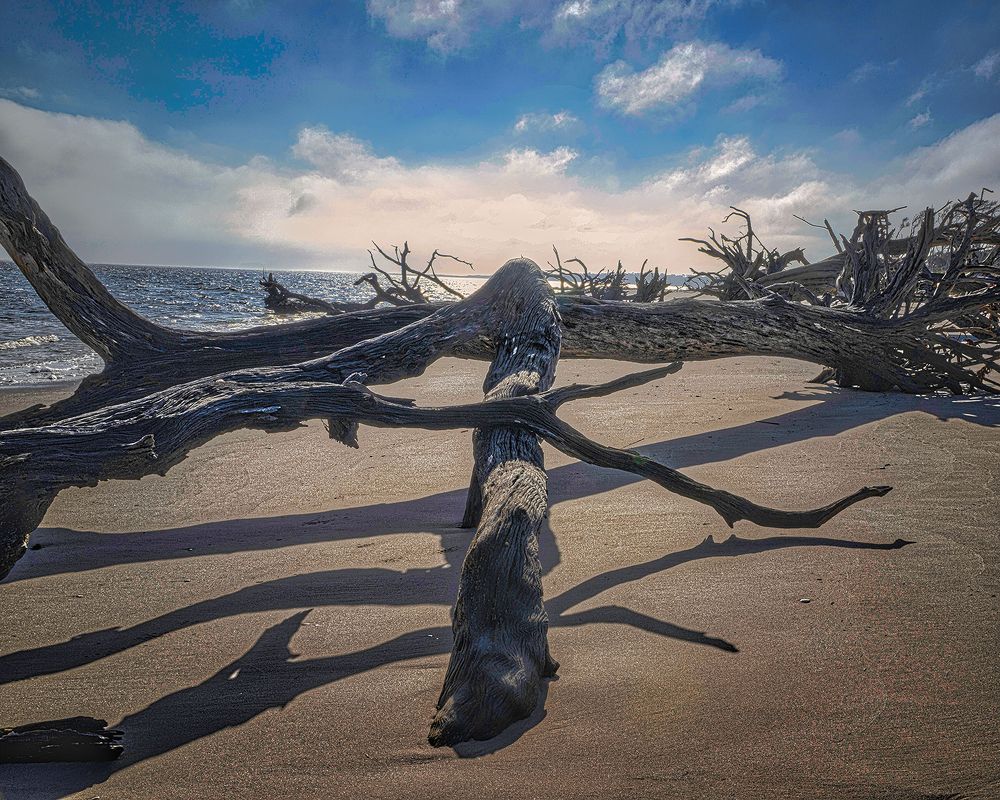 Фотография автора Ray Asiala