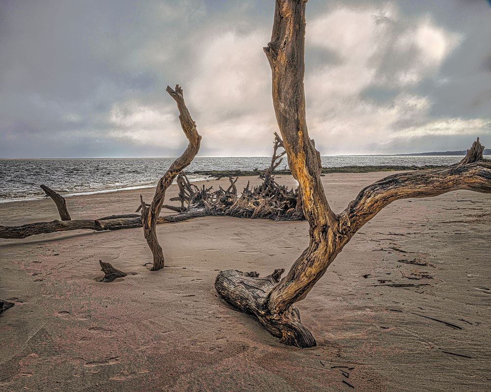 Фотография автора Ray Asiala