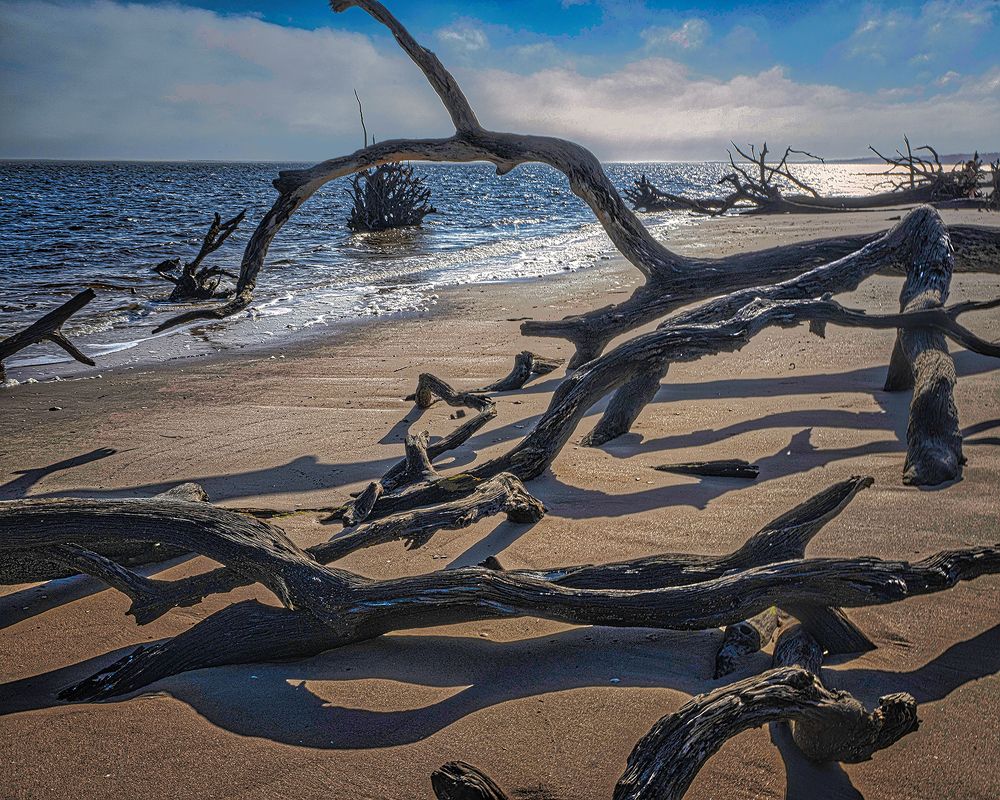 Фотография автора Ray Asiala