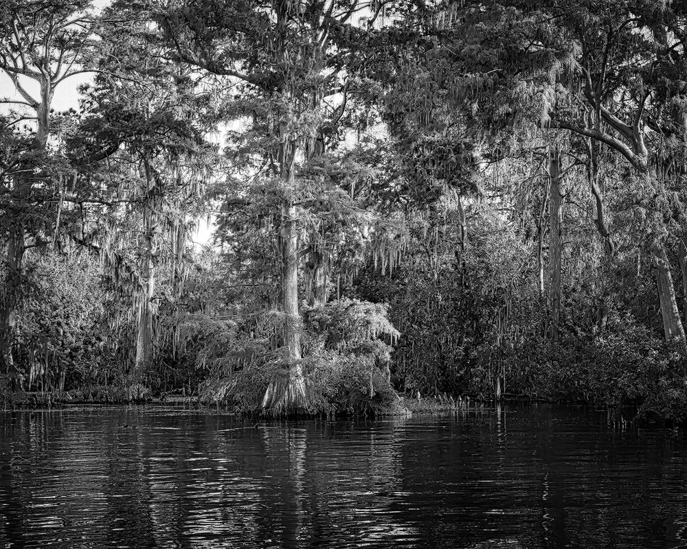 Фотография автора Ray Asiala