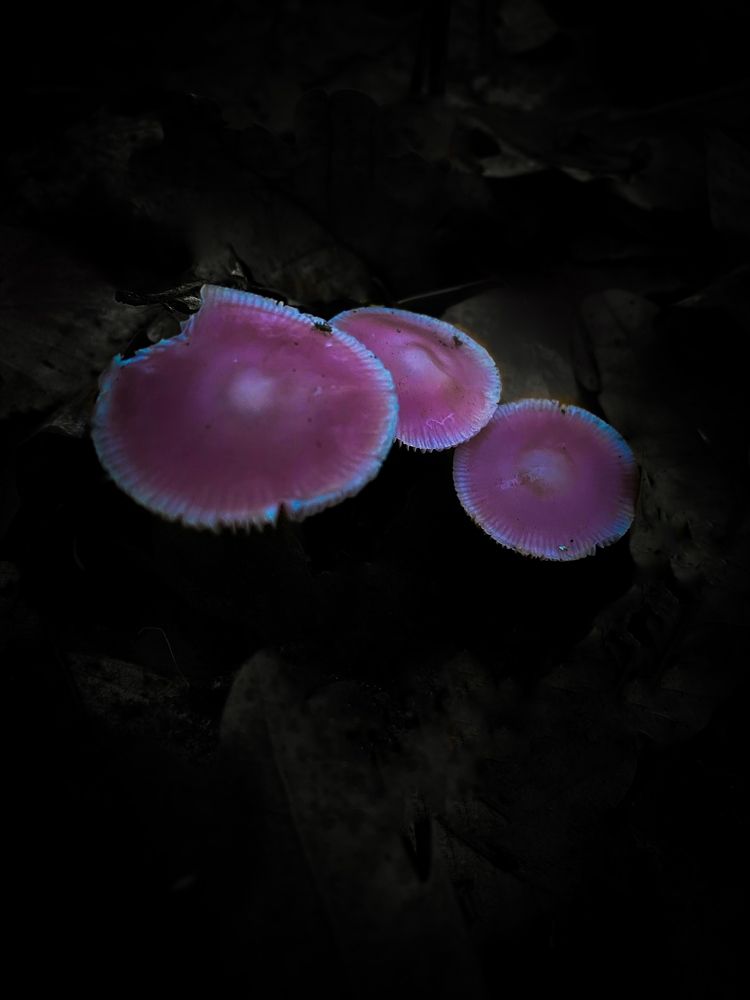 Photograph by Наталия Любчикова