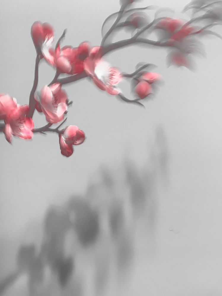 Photograph by Наталия Любчикова