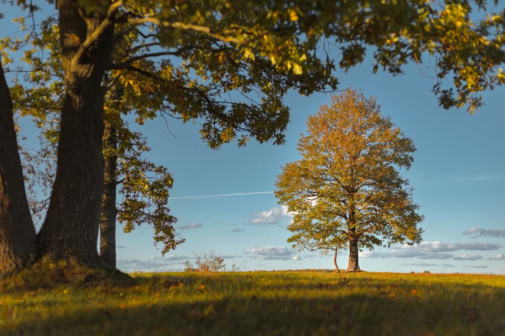 Photograph by Сергей Веселов