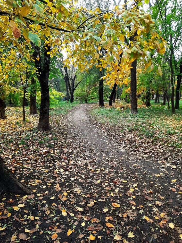 Photograph by Наталья Владимировна