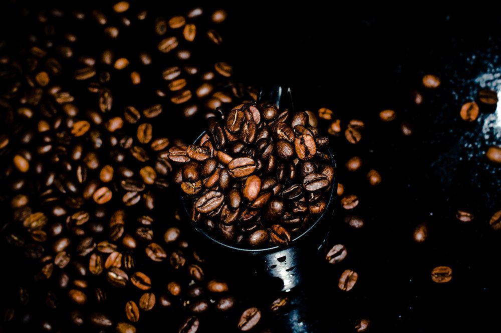 Фотография автора elias al sairafi