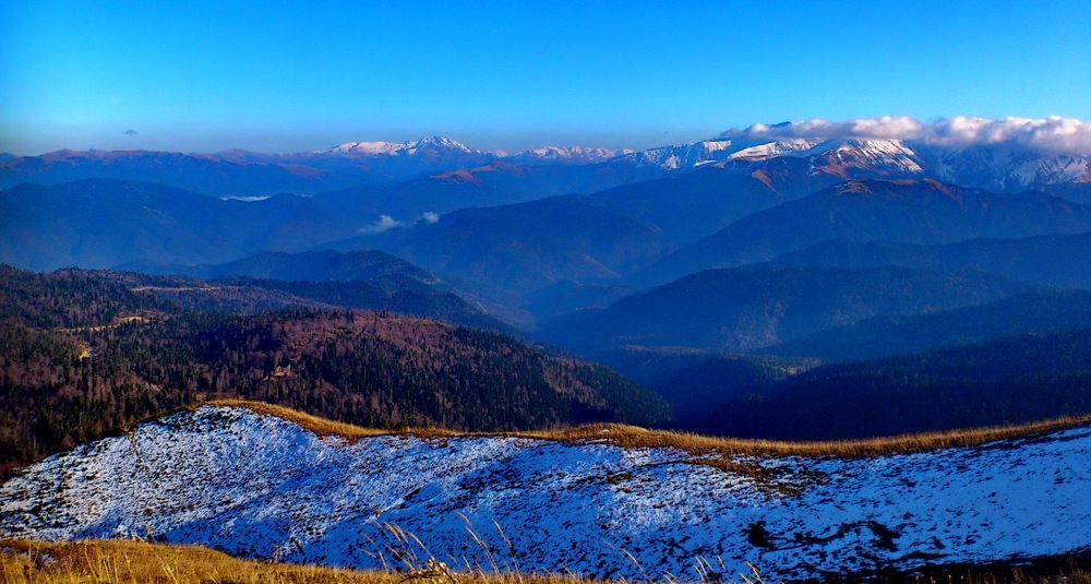 Photograph by Сергей Смоленцев