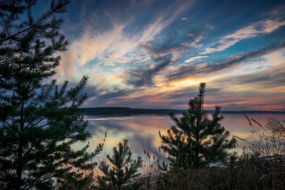 Вечерний свет.