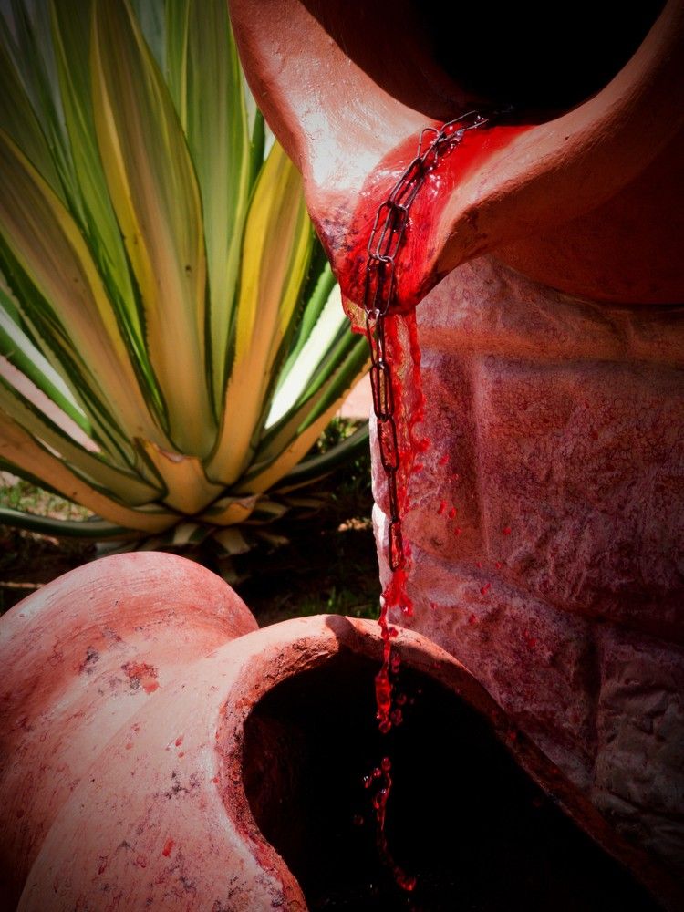 Photograph by Gr Marie