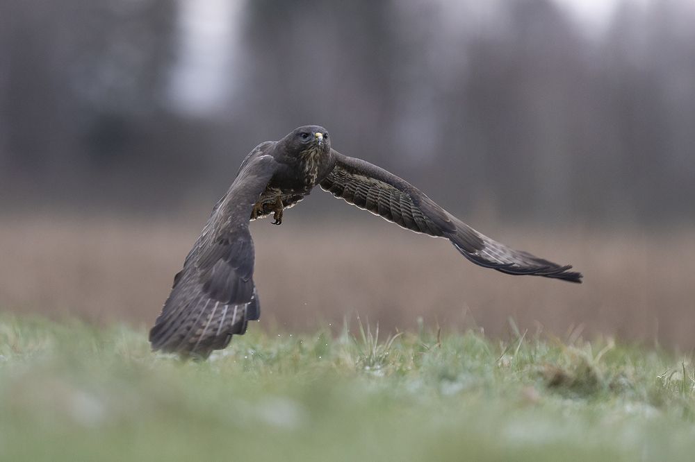 Photograph by Marcin Parzybut