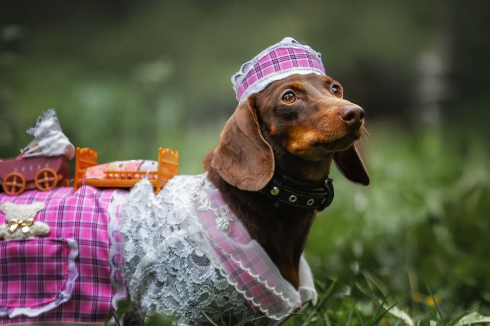 Photograph by Зубкова Юлия