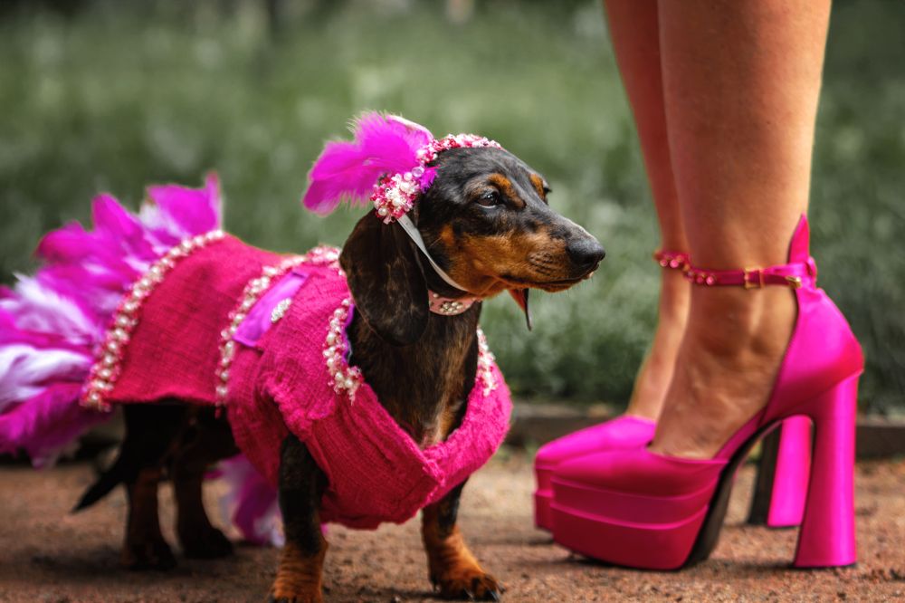 Photograph by Зубкова Юлия