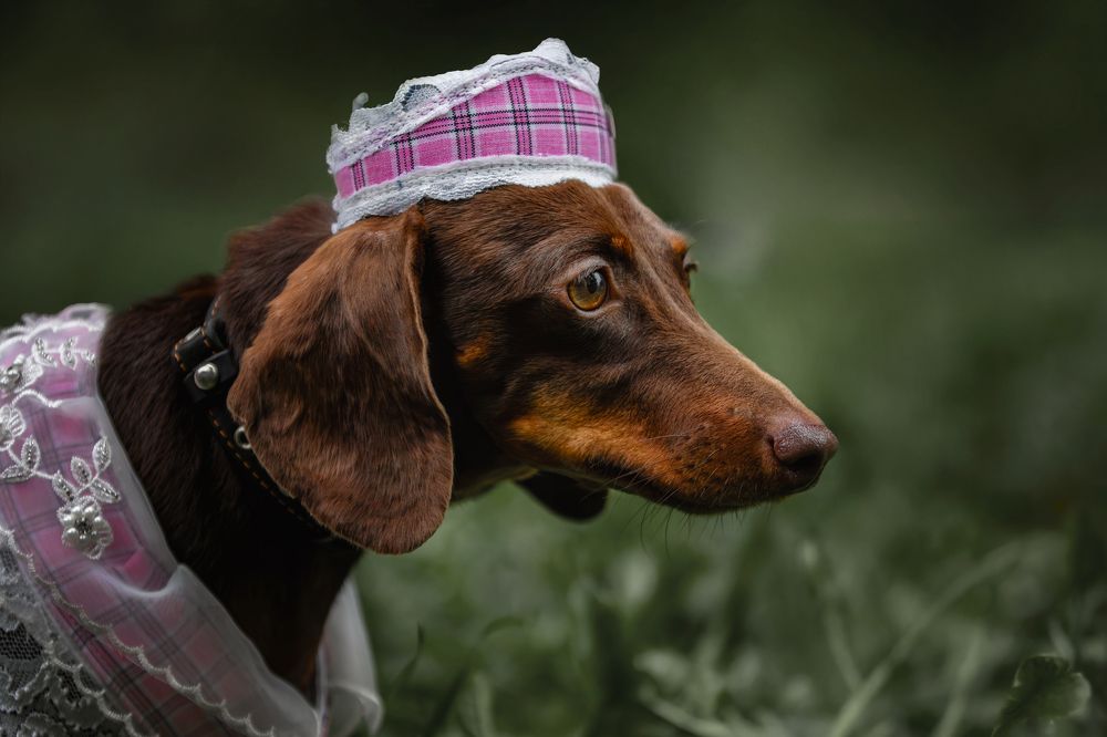 Photograph by Зубкова Юлия